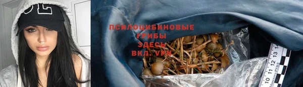 гидра Кукмор