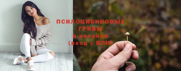 гидра Кукмор