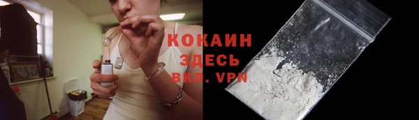 гидра Кукмор