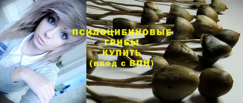 hydra как войти  Нефтеюганск  Псилоцибиновые грибы Psilocybe  купить наркоту 