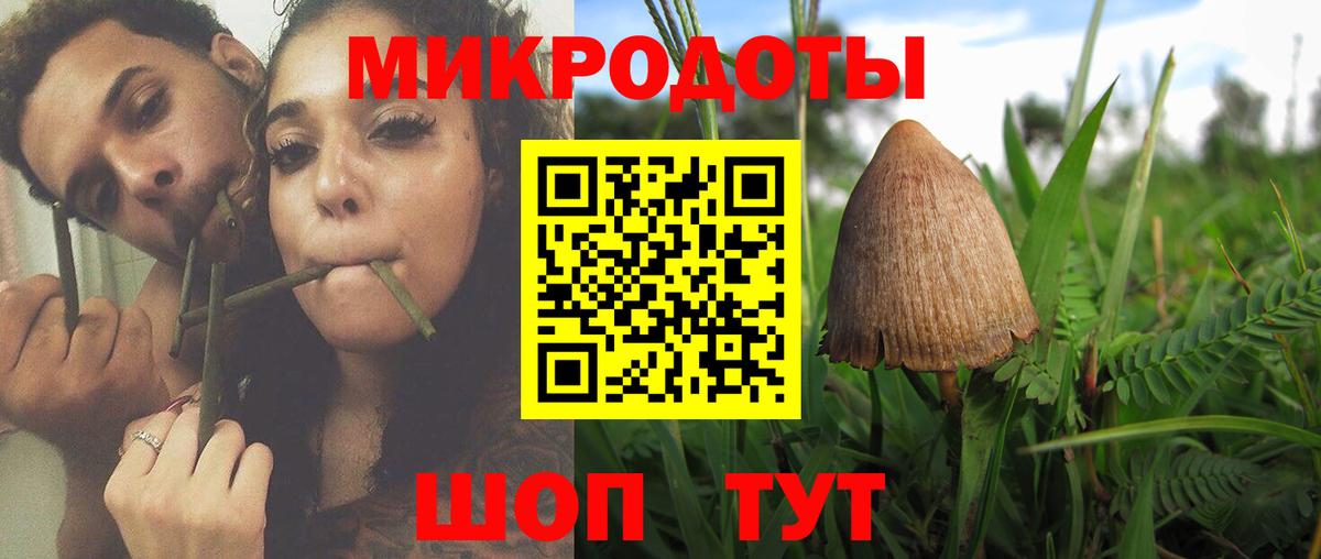 Галлюциногенные грибы прущие грибы Нефтеюганск