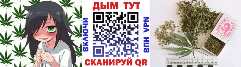 что такое   Нефтеюганск  Конопля сатива 